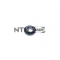 NTN A-2E-FL33109UPX4V2 (45X80/85X26) ΜΕ ΠΑΤΟΥΡΑ ΡΟΥΛΕΜΑΝ